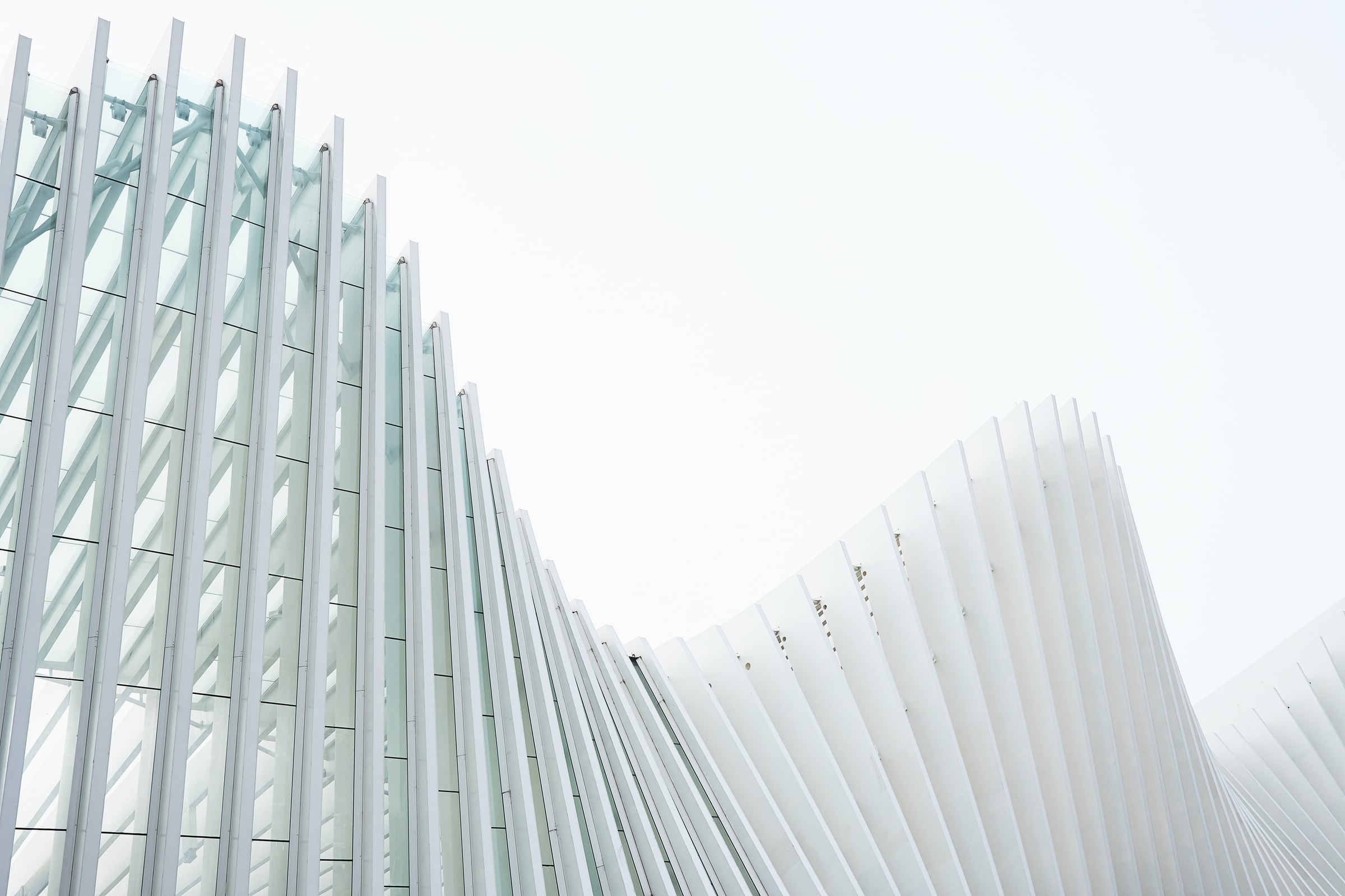 OI_luca-bravo-SRjZtxsK3Os-unsplash